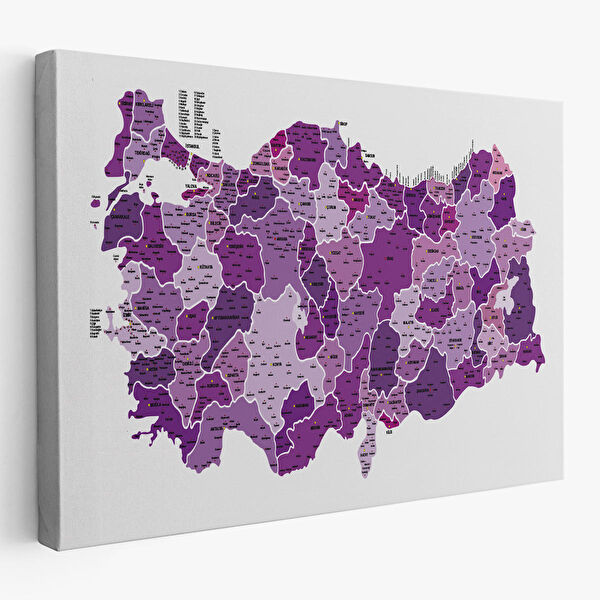 Harita Sepeti Kanvas Tablo