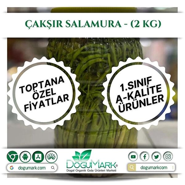 DoğuMark Konserve Sebze