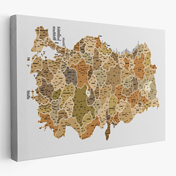 Harita Sepeti Kanvas Tablo