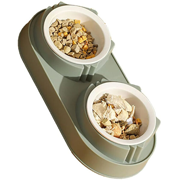 ForWhat Kedi Mama ve Su Kapları