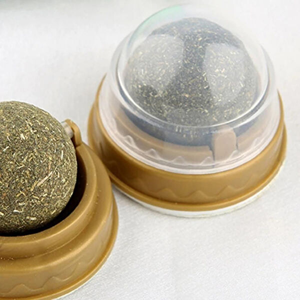 ForWhat Kedi Oyuncakları