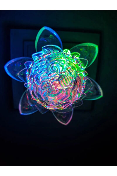 ForWhat Gece Lambası