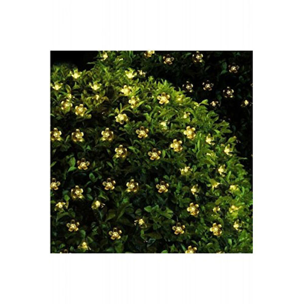 ForWhat Bahçe Aplikleri