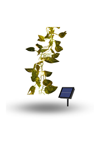 ForWhat Güneş Enerjili Aydınlatma