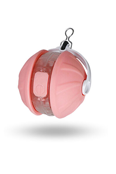 ForWhat Kedi Oyuncakları