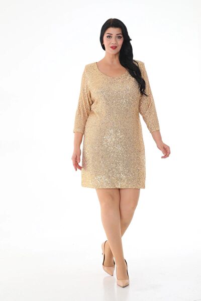 IŞILTI ABİYE Büyük Beden Abiye Elbise