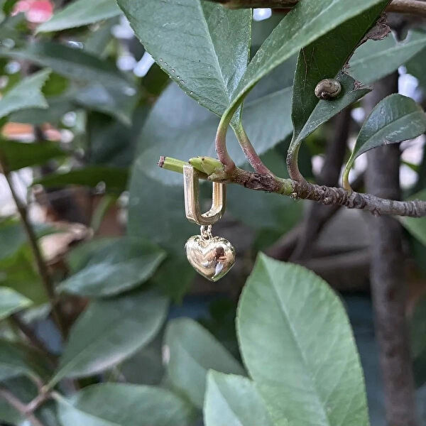 DİLEK KUYUMCULUK Altın Küpe