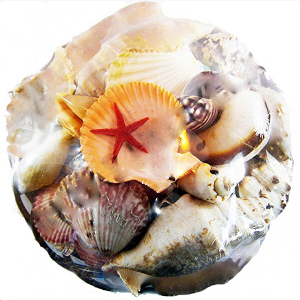 Tahtakaletoptancıları Dekoratif Obje, Biblo, Figür