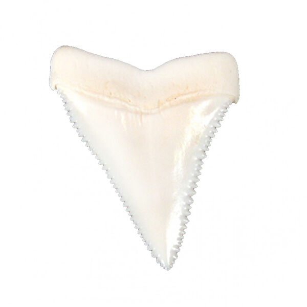 Tahtakaletoptancıları Dekoratif Obje, Biblo, Figür