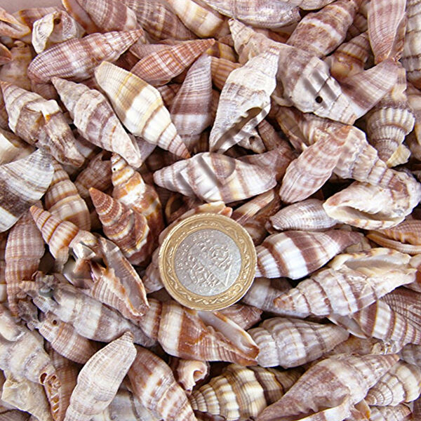 Tahtakaletoptancıları Akvaryum Dekoratif Malzemeler