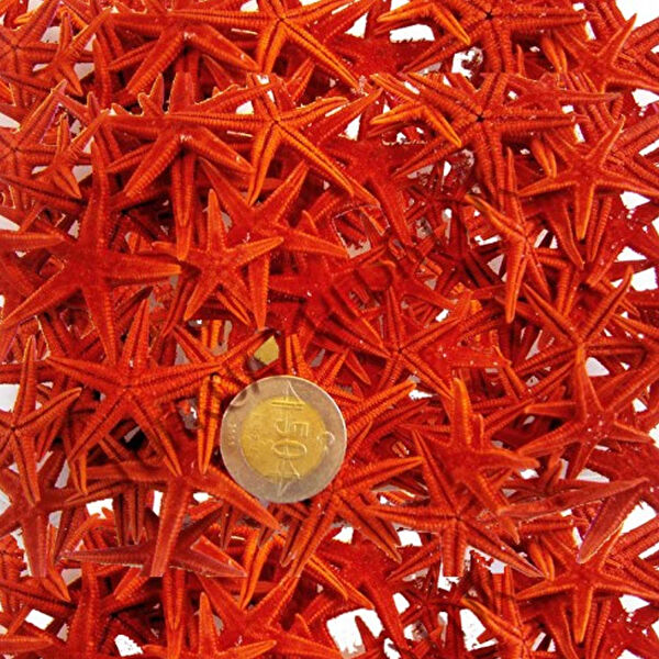 Tahtakaletoptancıları Parti Süsleme Malzemeleri