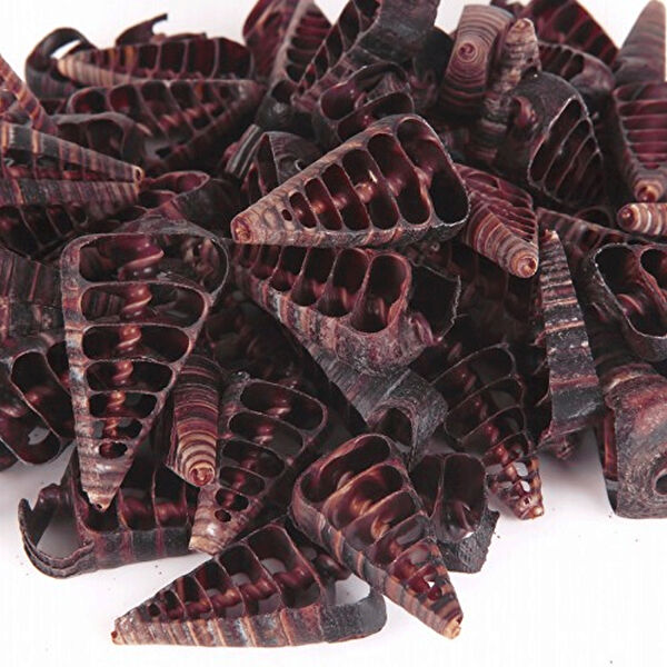 Tahtakaletoptancıları Akvaryum Dekoratif Malzemeler