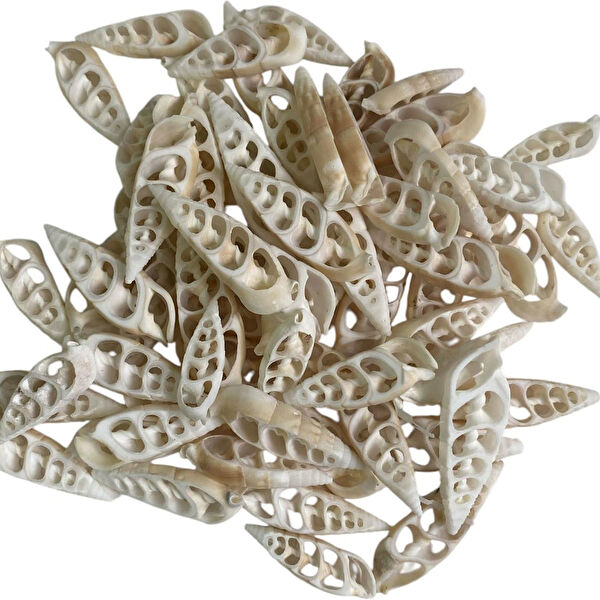 Tahtakaletoptancıları Akvaryum Dekoratif Malzemeler