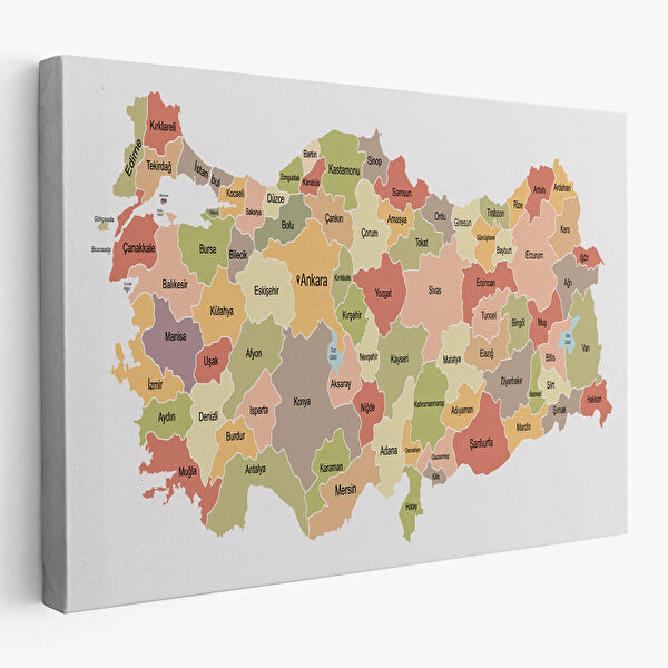 Harita Sepeti Kanvas Tablo