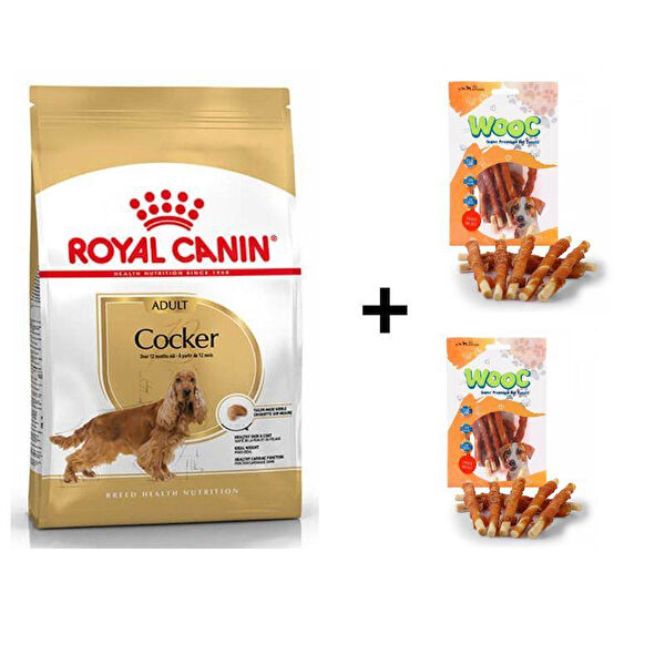 Royal Canin Köpek Maması