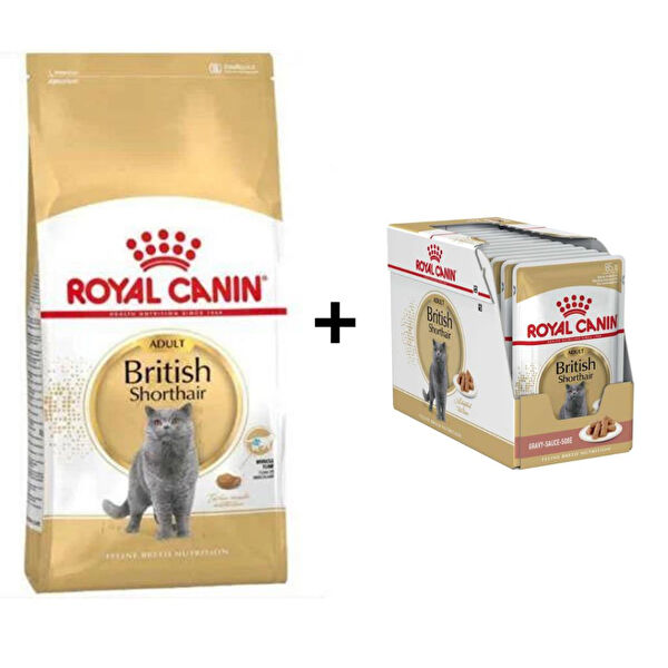 Royal Canin Kedi Maması