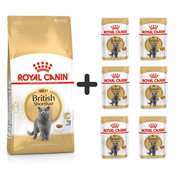 Royal Canin Kedi Maması