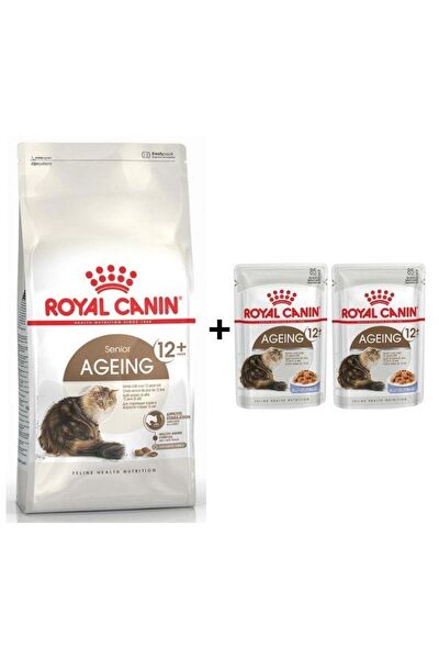 Royal Canin Kedi Maması
