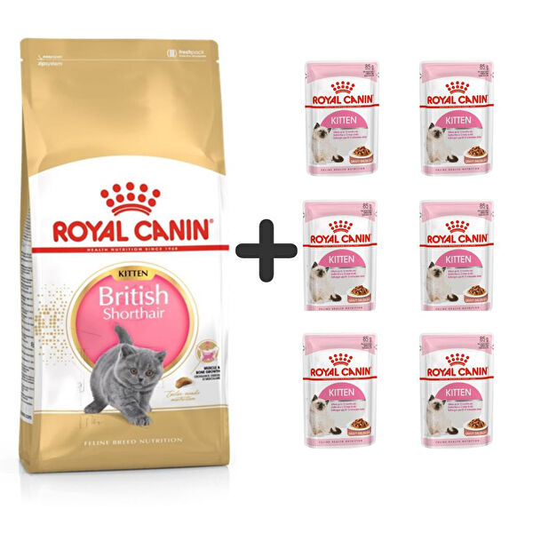 Royal Canin Kedi Maması