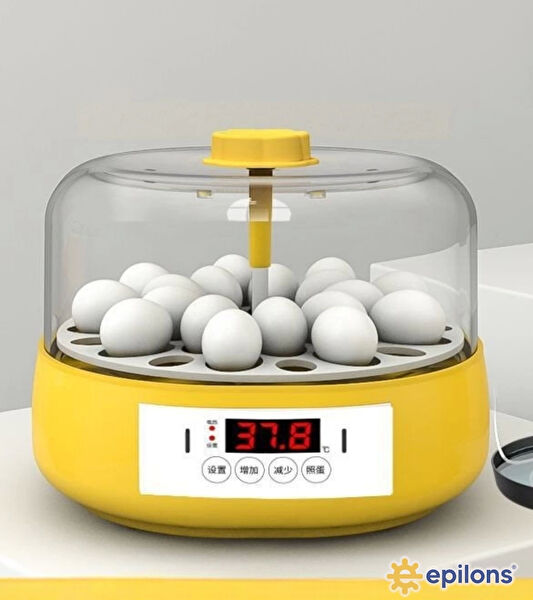 Epilons Kuş Banyoları & Küvetler