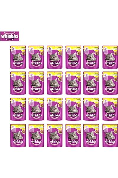 Whiskas Kedi Maması