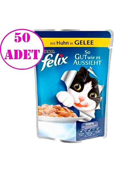 Felix Kedi Maması