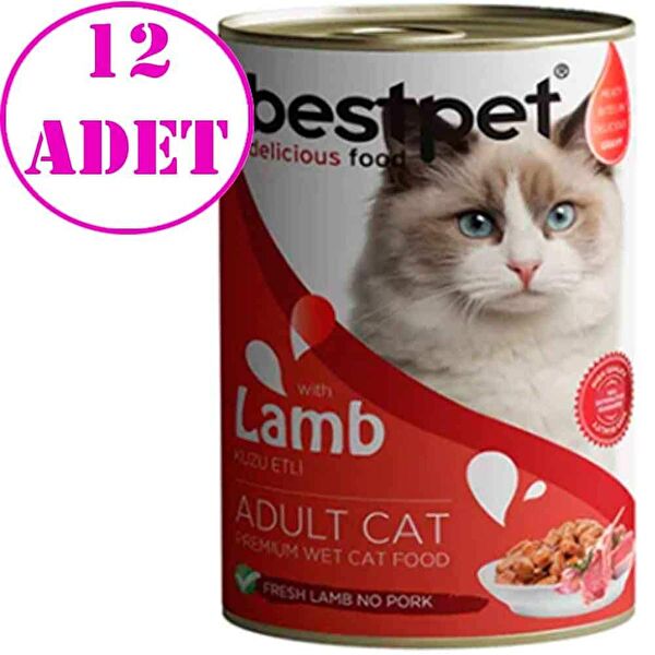 Bestpet Kedi Maması