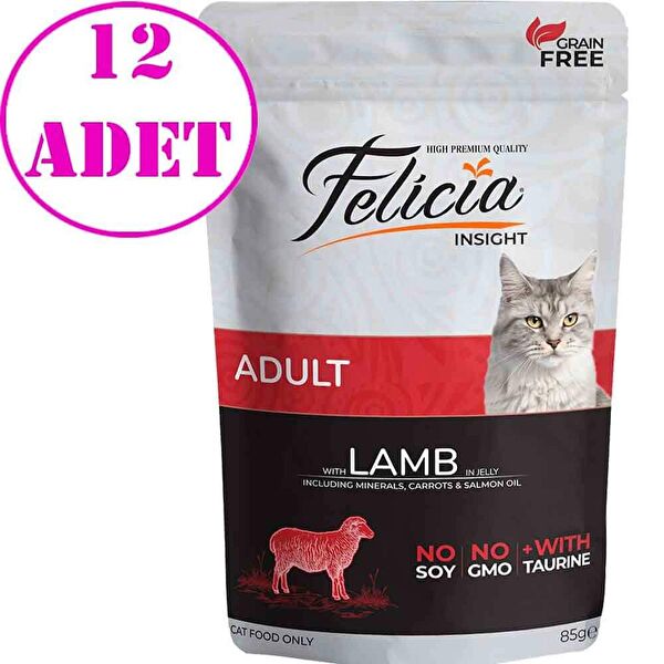 Felicia Kedi Maması