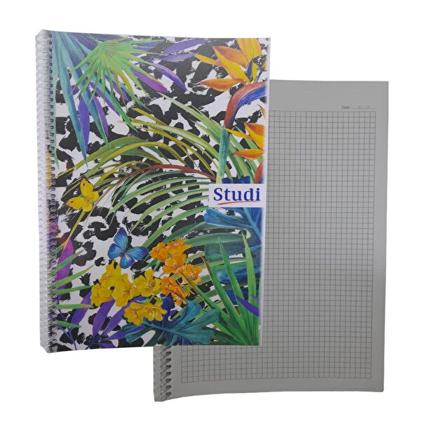 Studi Defter, Ajanda