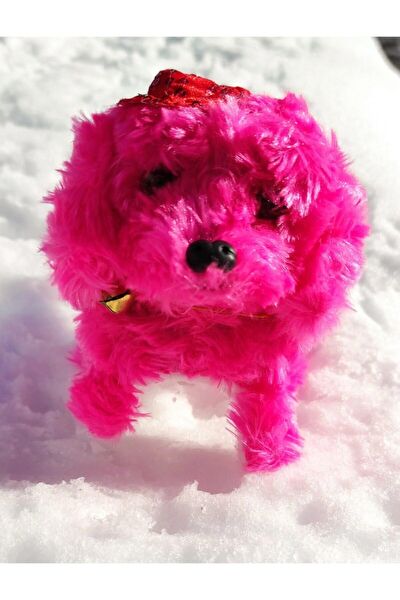 HYD Eğitici Oyuncaklar