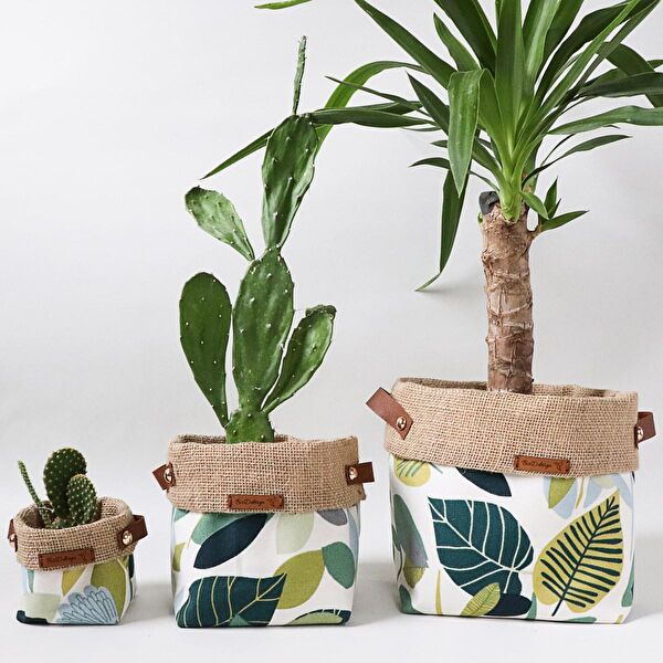 BirD Craft Design Saksı