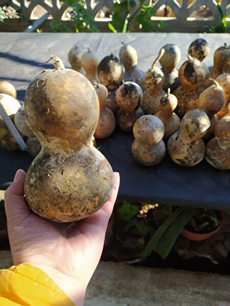 Alpha Tasarım Atölyesi Yardımcı Sanat Ürünleri