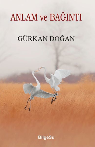 BilgeSu Yayıncılık Roman Kitapları