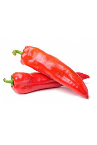 Serdar Çam Tohumculuk Tohum