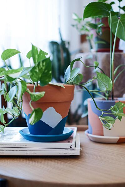 Fi.Dayy Design Saksı