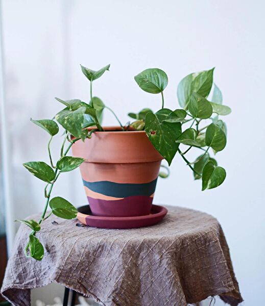 Fi.Dayy Design Saksı