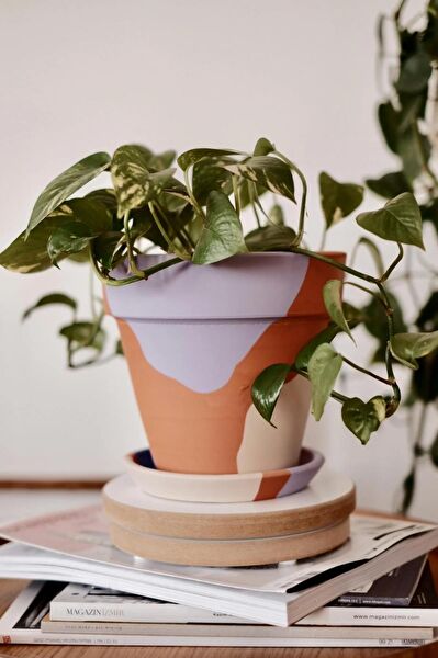 Fi.Dayy Design Saksı