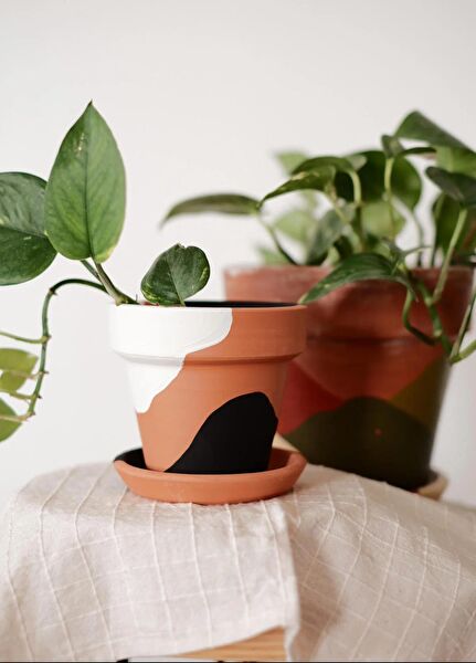 Fi.Dayy Design Saksı