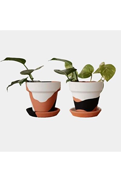 Fi.Dayy Design Saksı