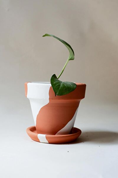 Fi.Dayy Design Saksı