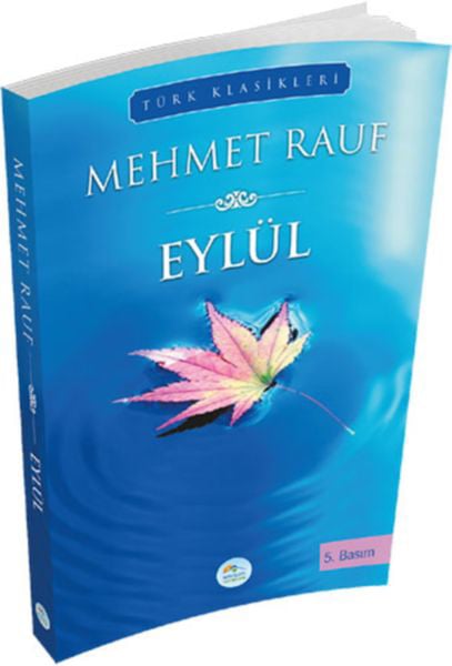 Maviçatı Yayınları Roman Kitapları
