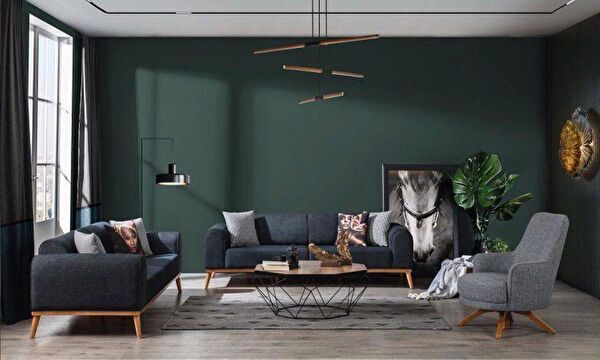 Dekorbizden Koltuk Takımı