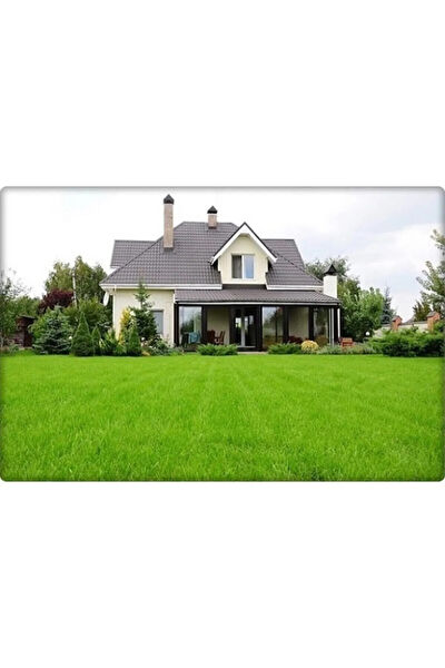 Serdar Çam Tohumculuk Tohum