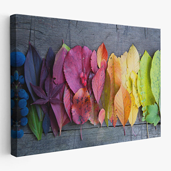 Harita Sepeti Kanvas Tablo