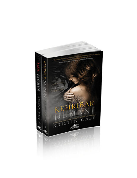 Pegasus Yayınları Roman