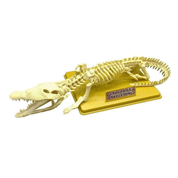 ENG Eğitici Oyuncaklar