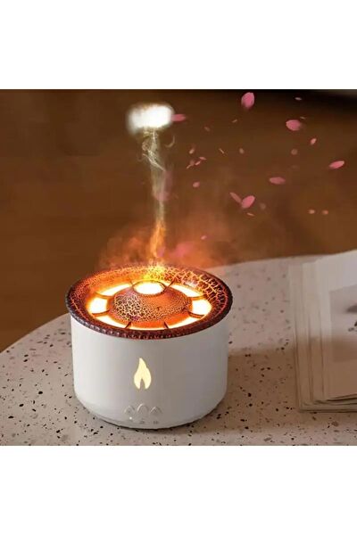 Enshall Hava Temizleme ve Nem Alma Cihazları