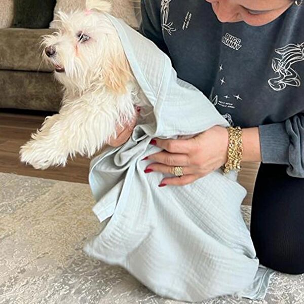 Ezh Collection Kedi Yatağı