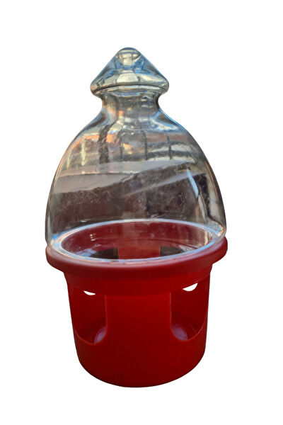 Coşar Tavukçuluk Kümes Hayvancılığı