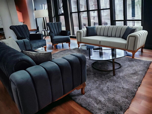 Titiz koltuk Koltuk Takımı